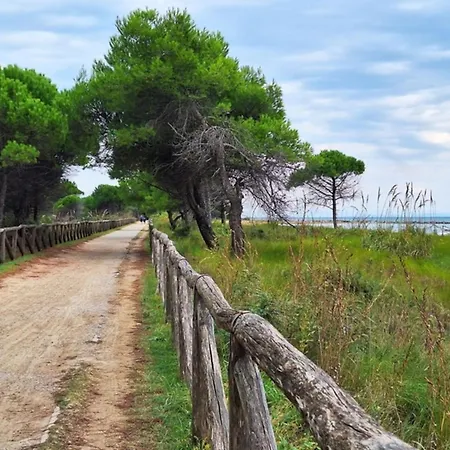 Flat With Shared Barbecue *